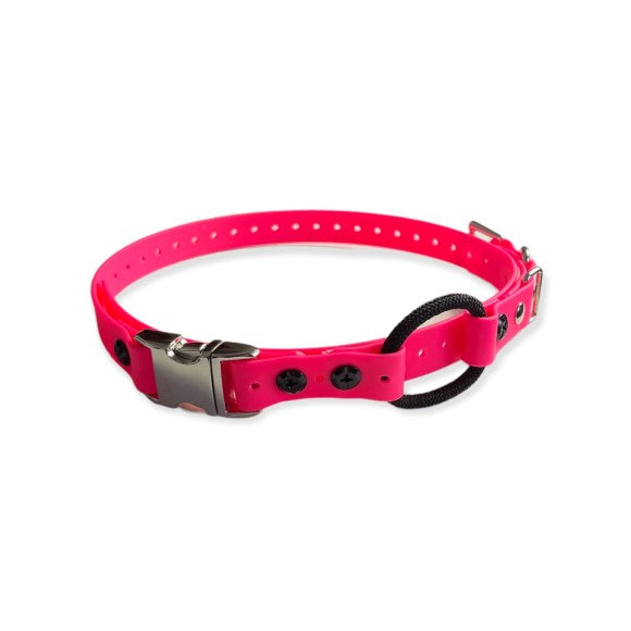 Educator quick best sale snap bungee collar